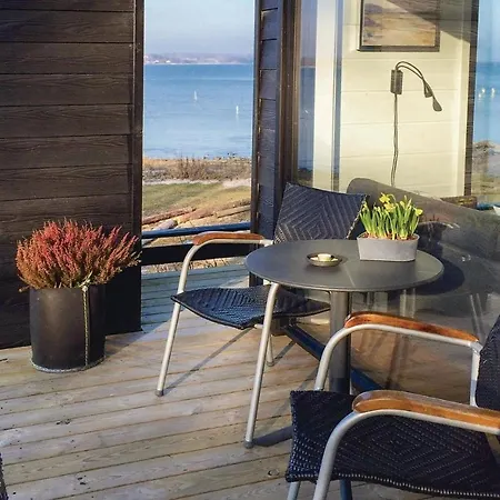 Haderslev With A Fireplace 04 哈泽斯莱乌