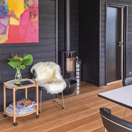 Haderslev With A Fireplace 04 哈泽斯莱乌